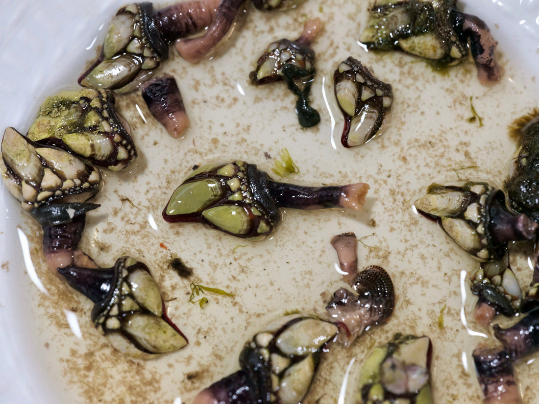 A Guide to the Stranger Side of Tinned Seafood