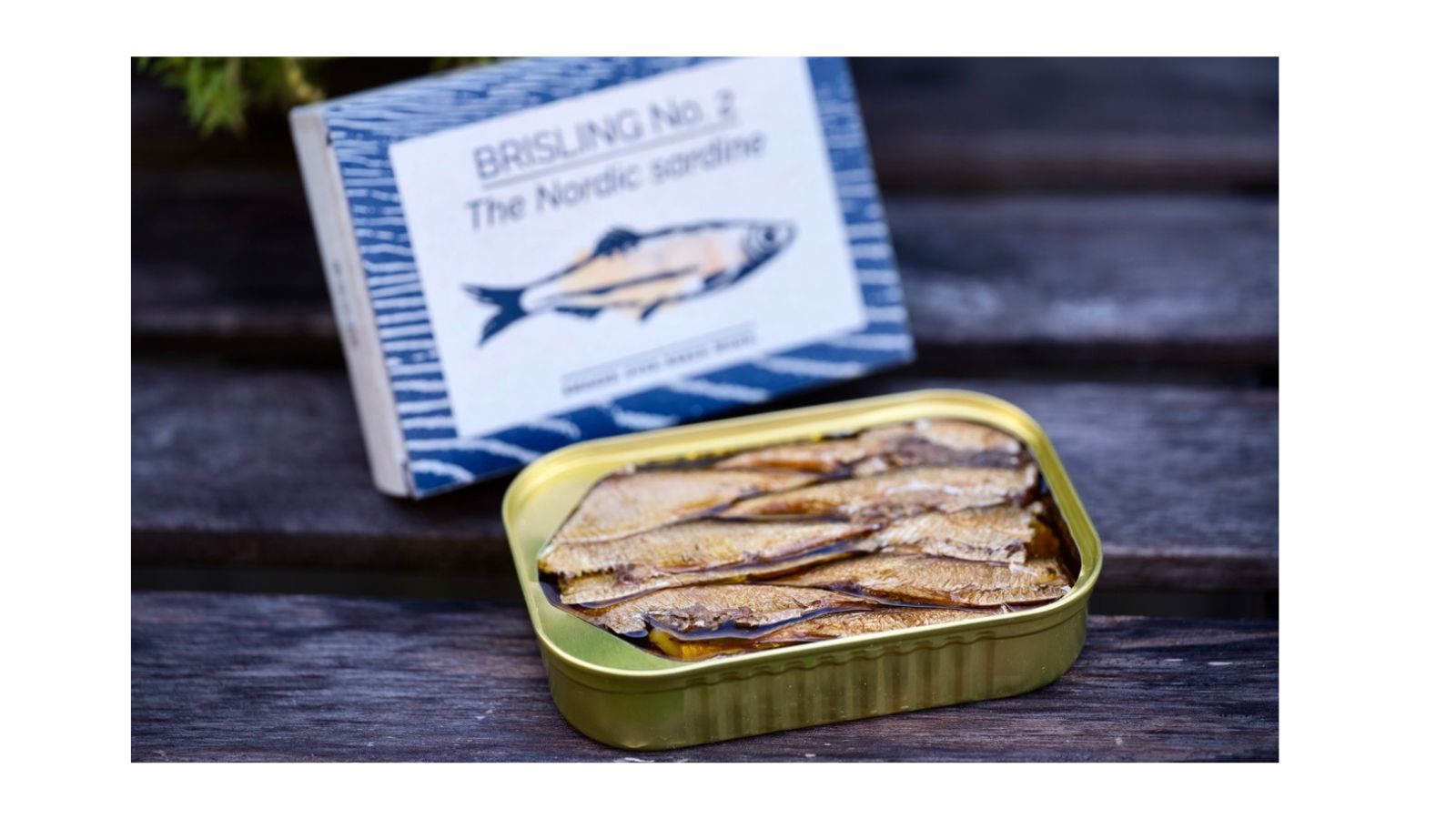 Sardines, Sprats, Brisling &amp; Pilchards: What's the Difference?