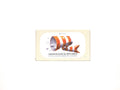Jose Gourmet Codfish in Olive Oil with Garlic