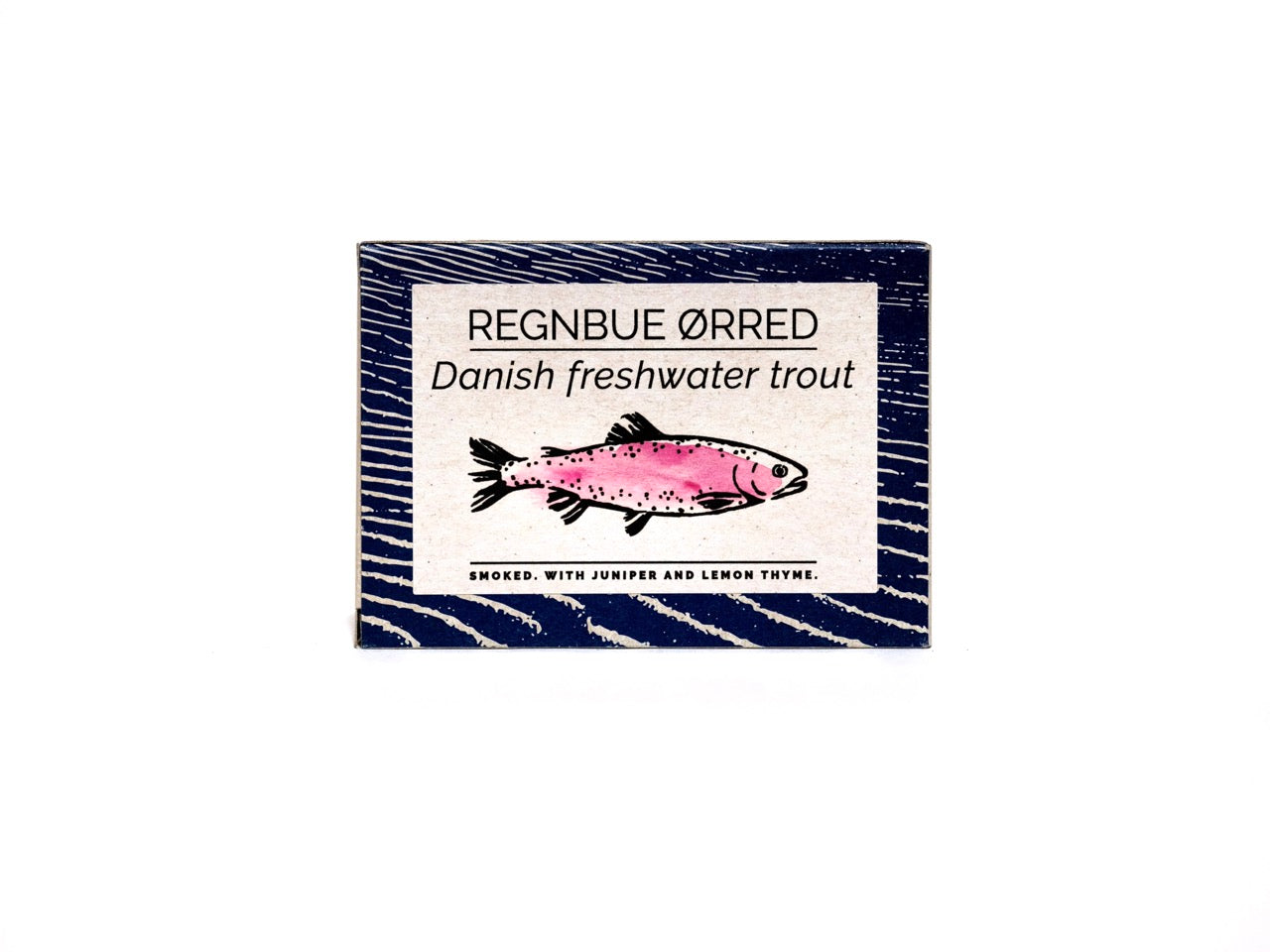 Fangst Regnbue Ørred Danish Freshwater Trout