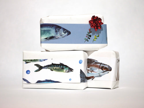 Tinned Fish Gift Box: Mystery 3-Tin Pack